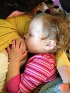 11873951_10206502210650603_291280844_nw