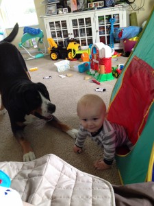 Playing hide and seek