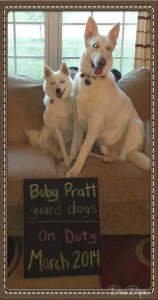 12694949_10101483231853471_5664929927149094403_o