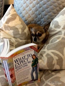 12705416_10156484060260265_2285702705182335857_n