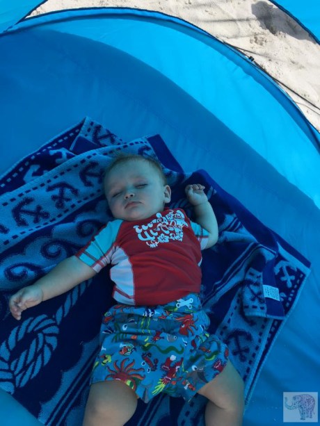 19601618_10103995505661724_2814986753343531672_n